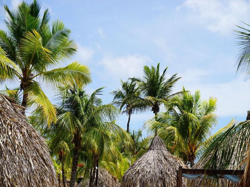 Boca Simon Vacation Curacao image