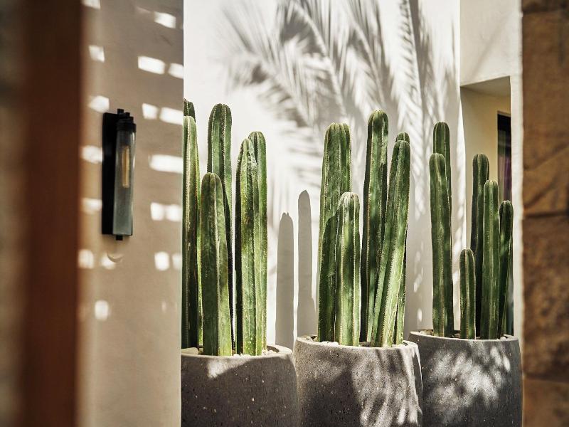 Four Seasons Resort Cabo Del Sol image