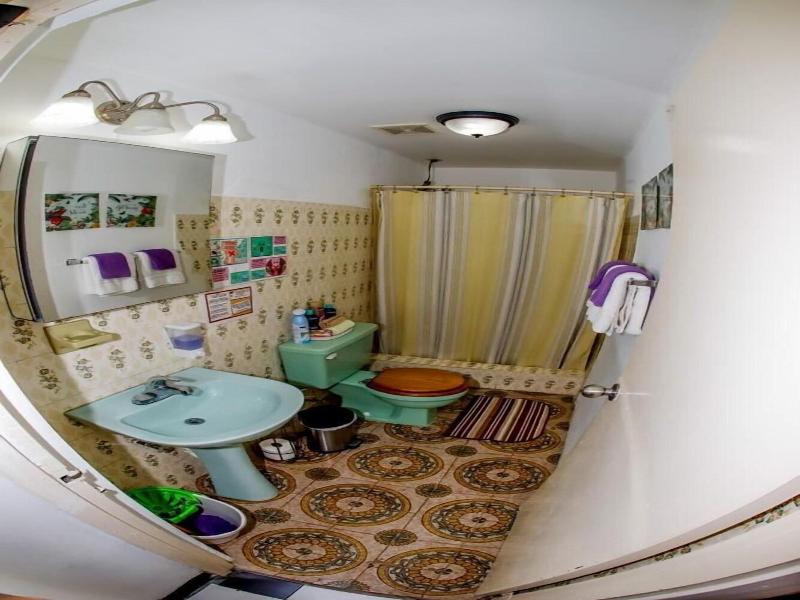 310guest-house Lavida image