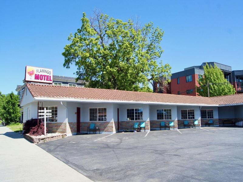 Flamingo Motel 4