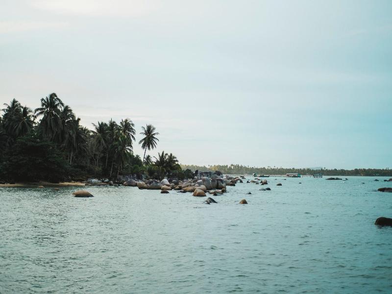 Adiwana Jelita Sejuba Natuna