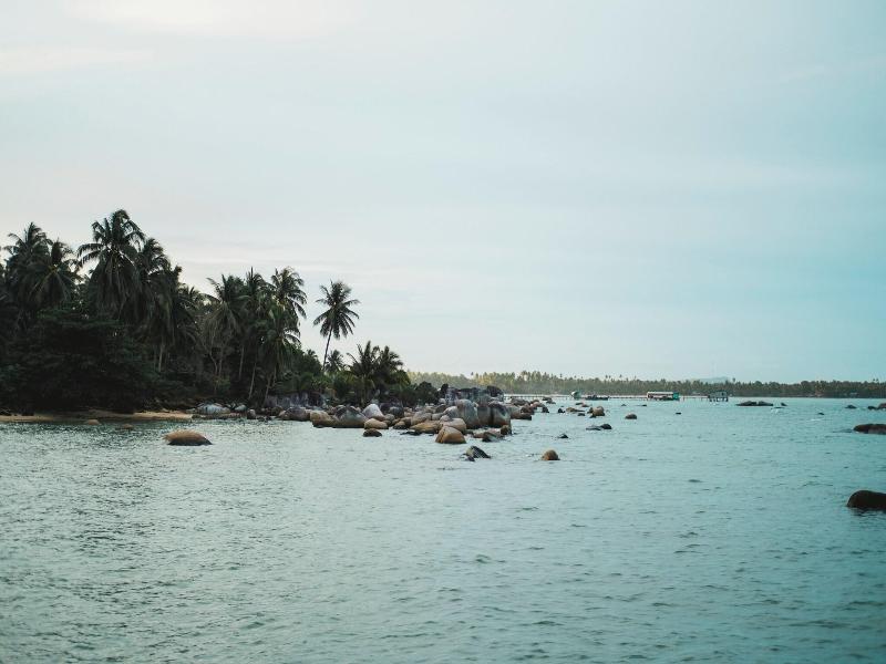 Adiwana Jelita Sejuba Natuna