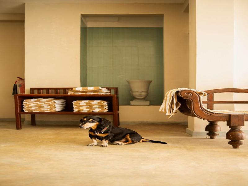 Neevana Hotel Hikkaduwa image