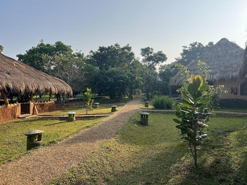 Saffron Lake Yala image