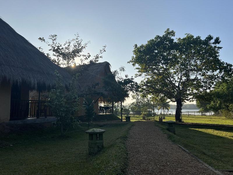 Saffron Lake Yala image