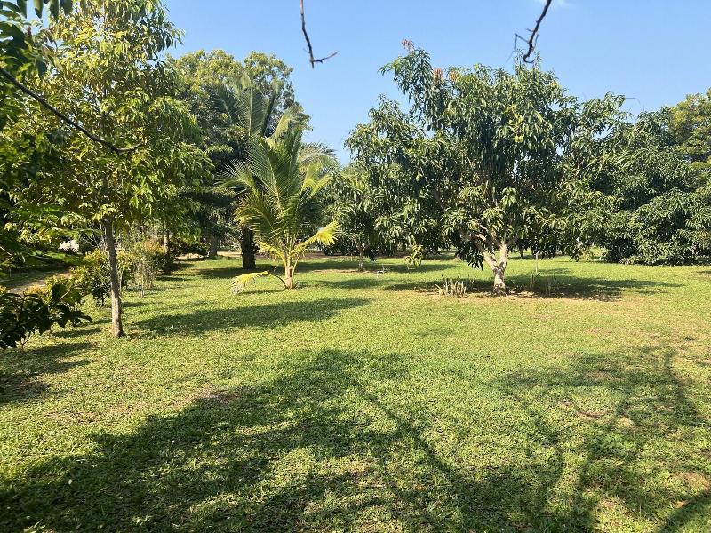 Saffron Lake Yala image
