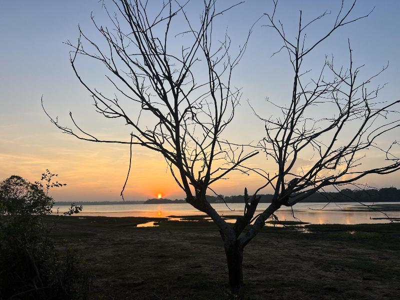 Saffron Lake Yala image