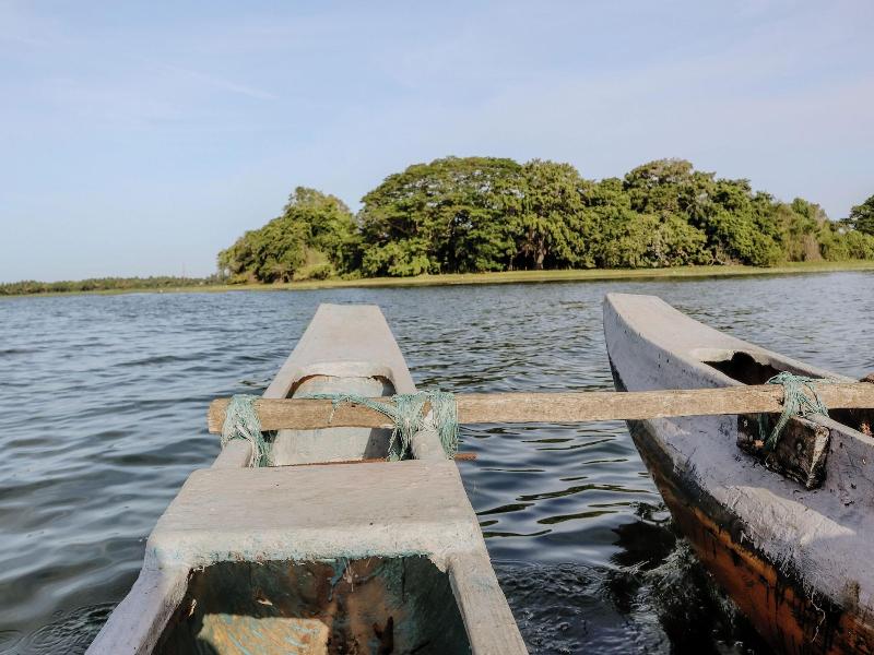 Saffron Lake Yala image