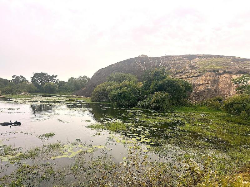 Saffron Lake Yala image