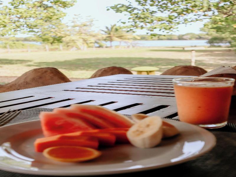 Saffron Lake Yala image