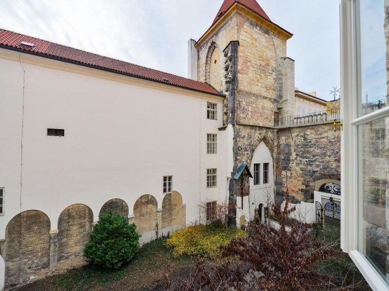 Lazenska N4 image