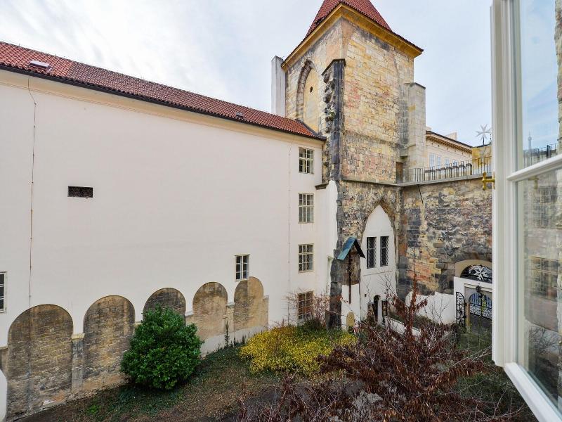 Lazenska N4 image