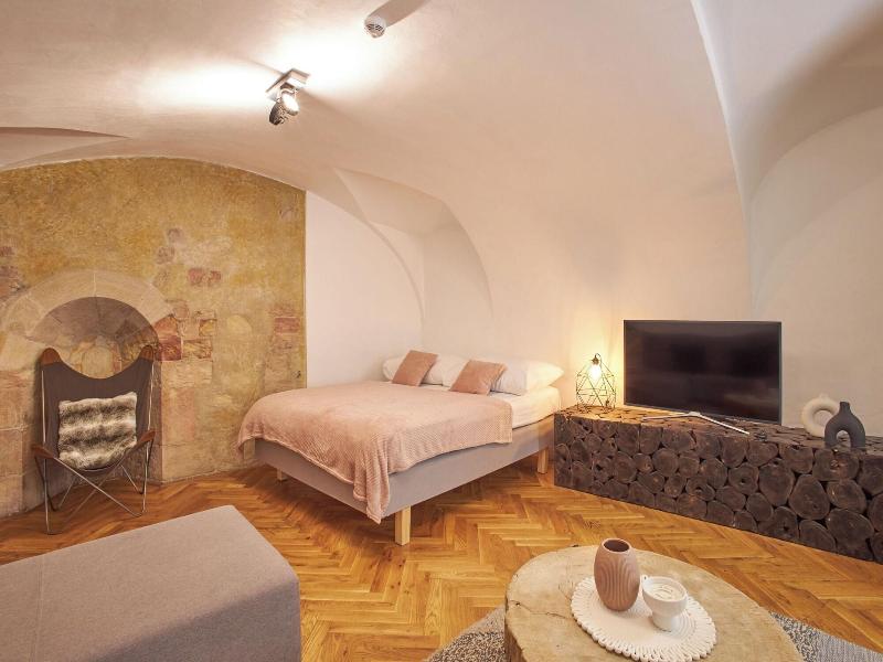 Lazenska N4 image