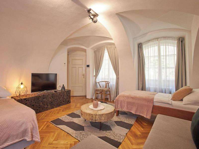 Lazenska N4 image