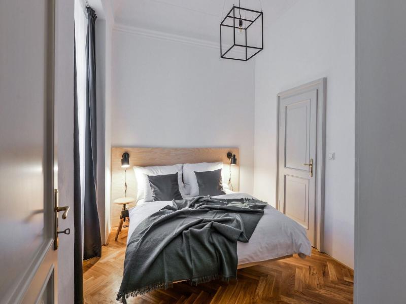 Lazenska N4 image