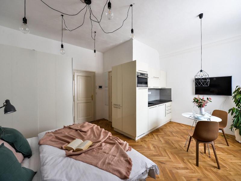 Lazenska N4 image
