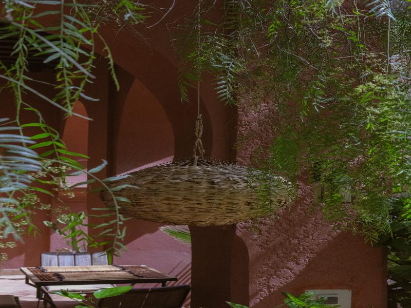 Bab Akoul Palmeraie & Spa  image