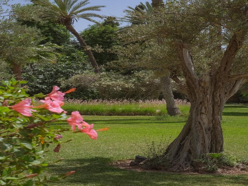 Bab Akoul Palmeraie & Spa  image
