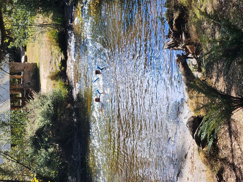 Russell Falls Holiday Cottages