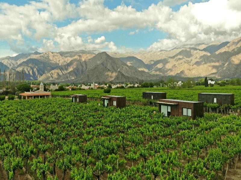 El Porvenir Wine Lodge, Cafayate
