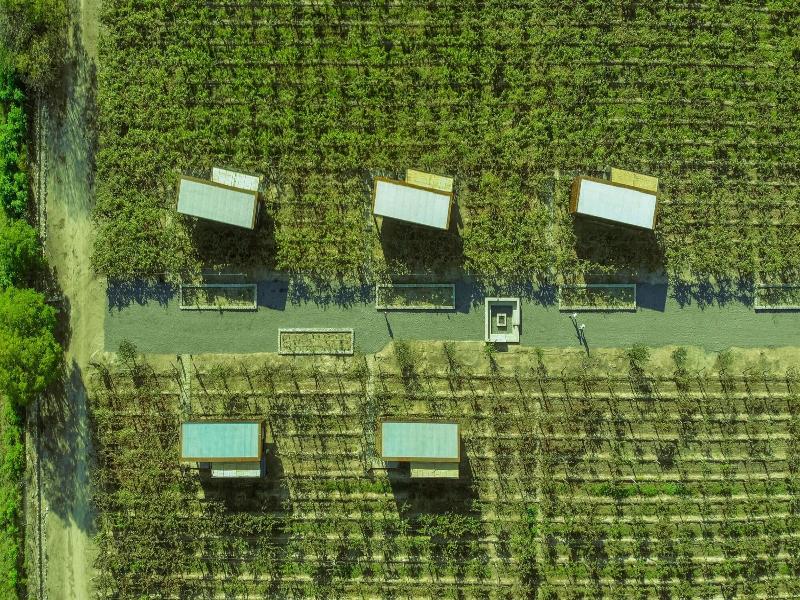 El Porvenir Wine Lodge