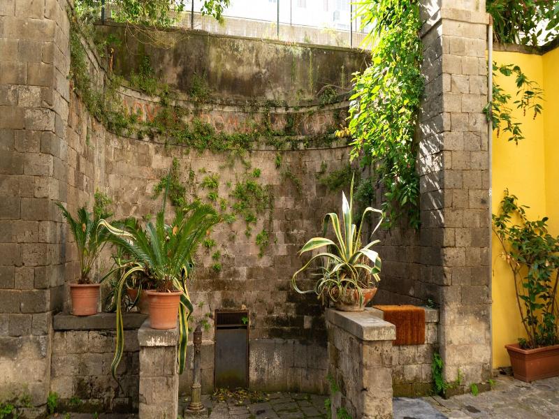 Palazzo Martinelli image
