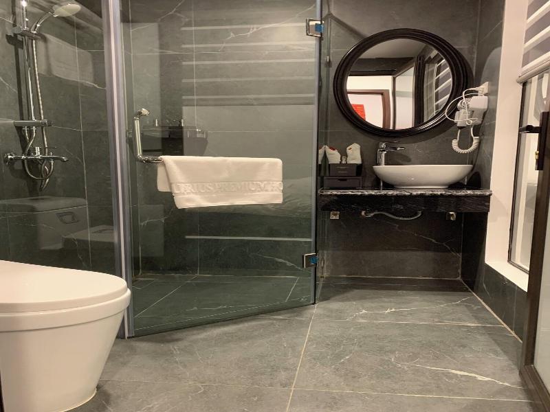 Aquarius Premium Hotel image