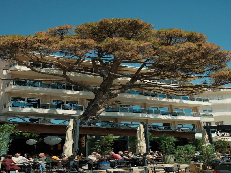 Vue Mer Hotel image
