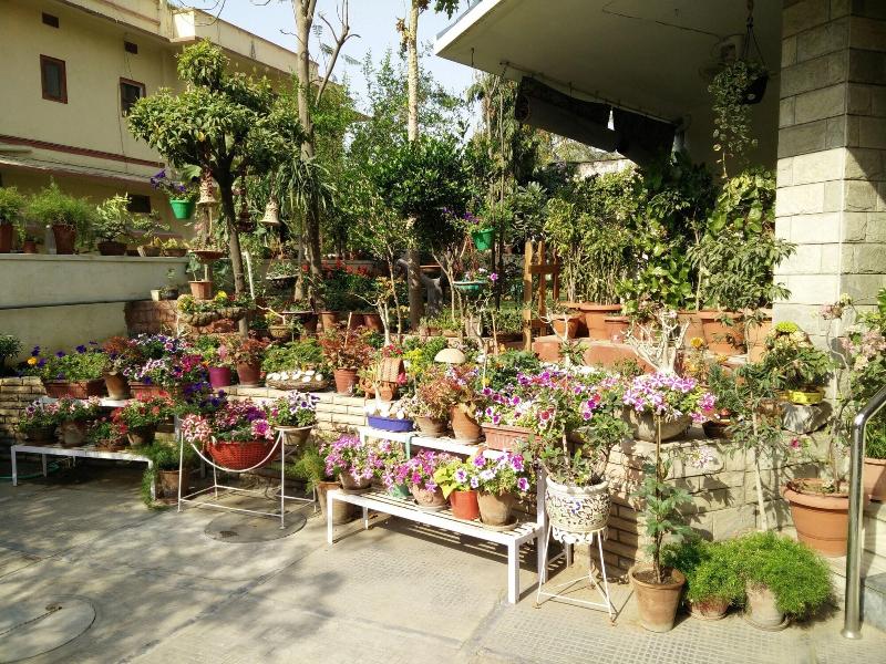 Girisadan Homestay image
