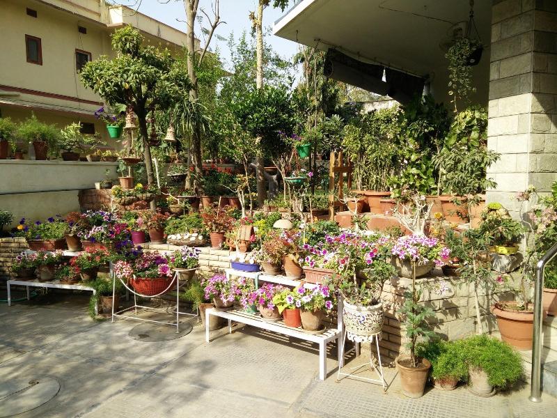 Girisadan Homestay image