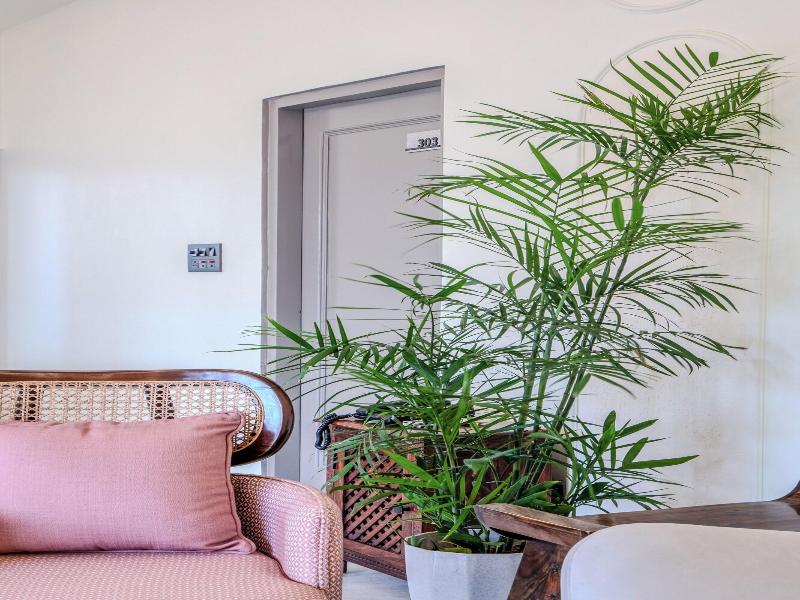 Girisadan Homestay image