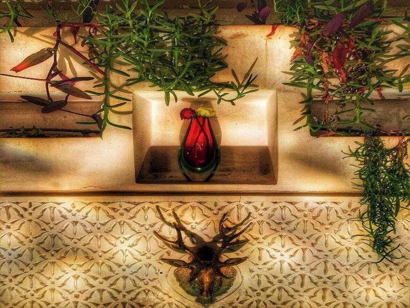 Riad Lumière image