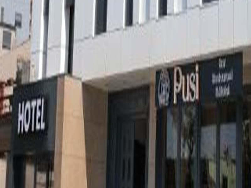 Hotel Pusi