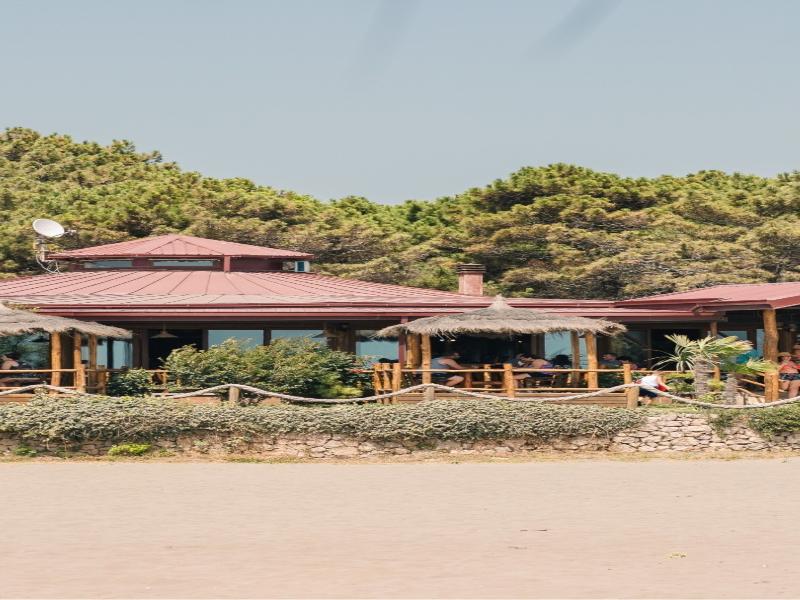 Safari Beach & Camping image
