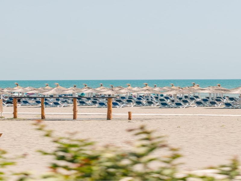 Safari Beach & Camping image