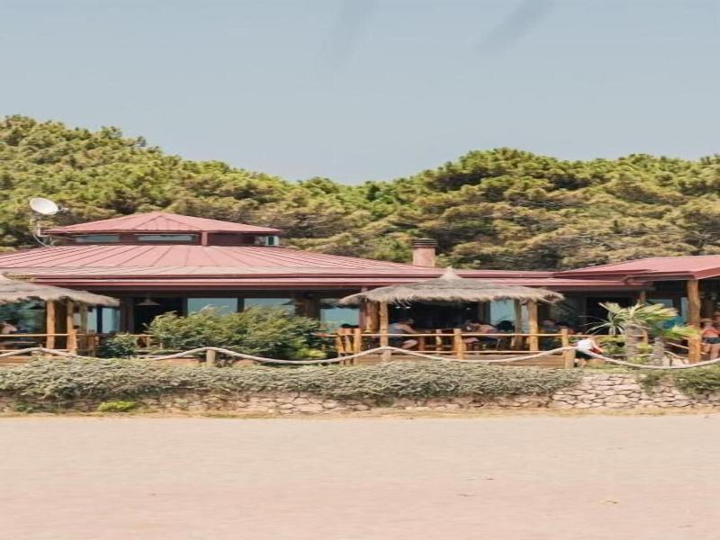 Safari Beach & Camping image
