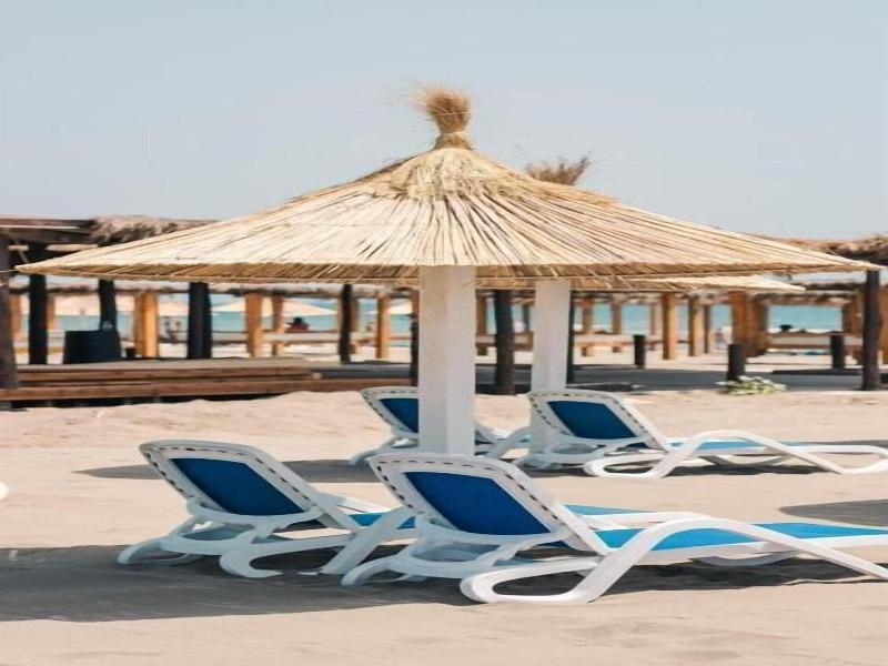 Safari Beach & Camping image