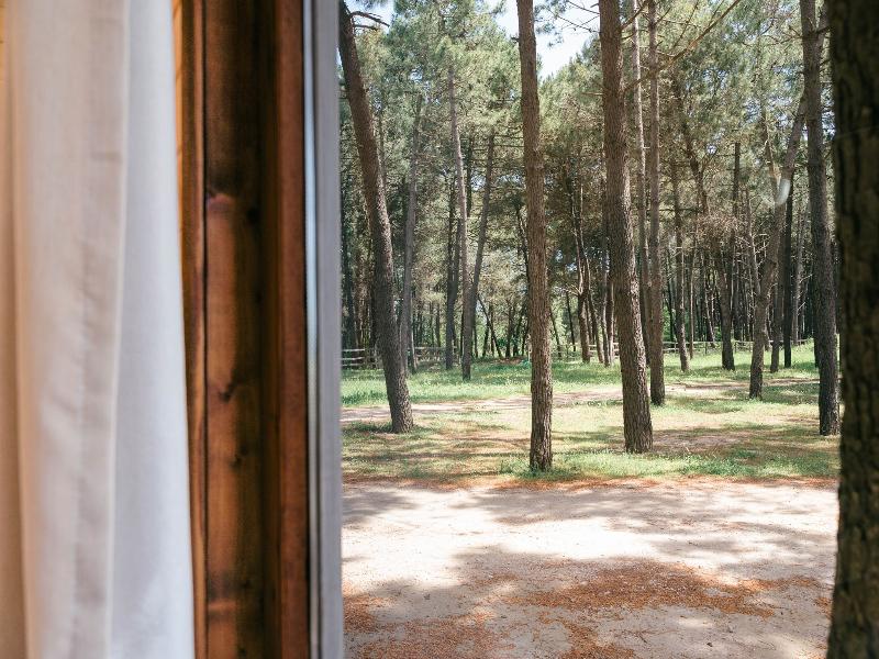 Safari Beach & Camping image