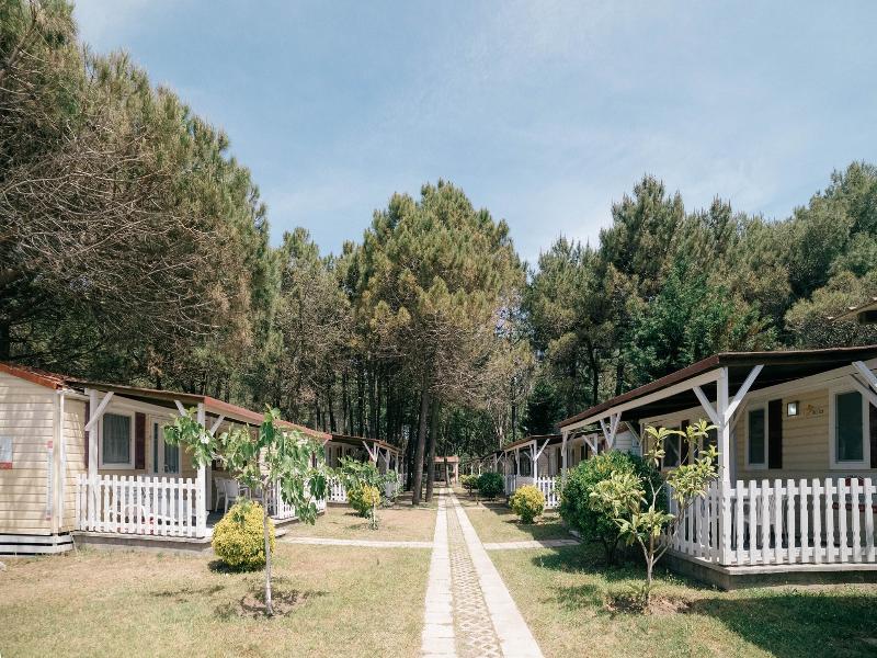 Safari Beach & Camping image