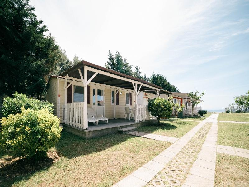 Safari Beach & Camping image