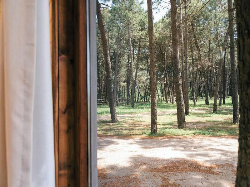 Safari Beach & Camping image