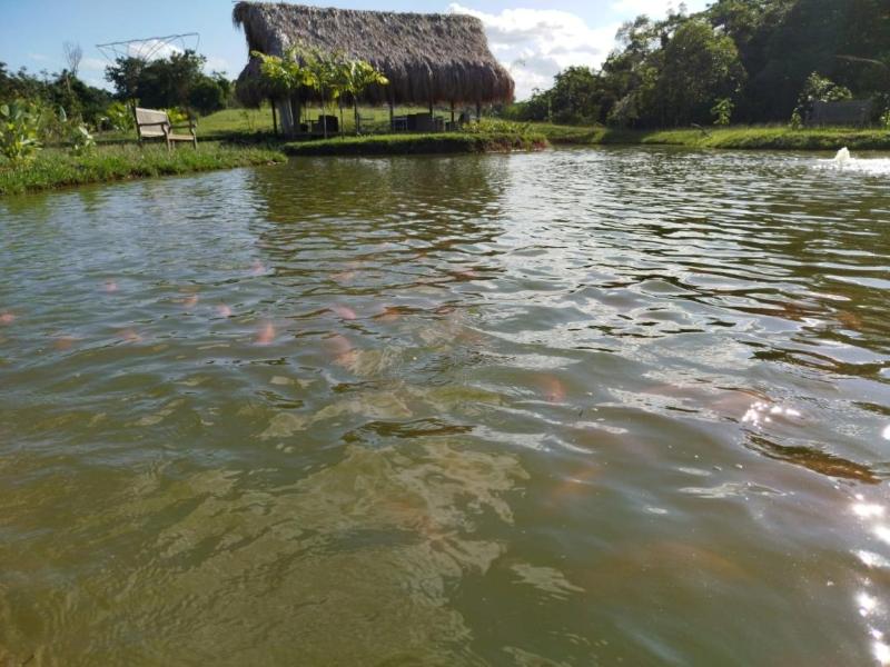 El Bosque Hotel Boutique