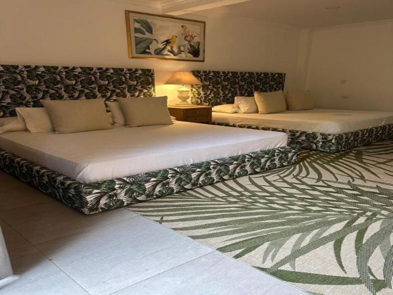 Suite Bamboo