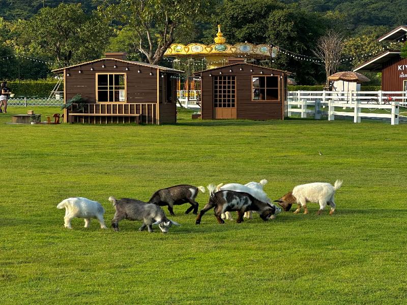 Kiyomizu Onsen & Glamping Resort Saraburi