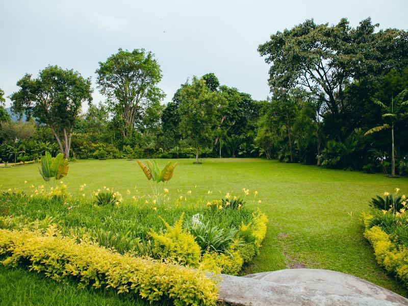 Gorillas Lake Kivu Hotel