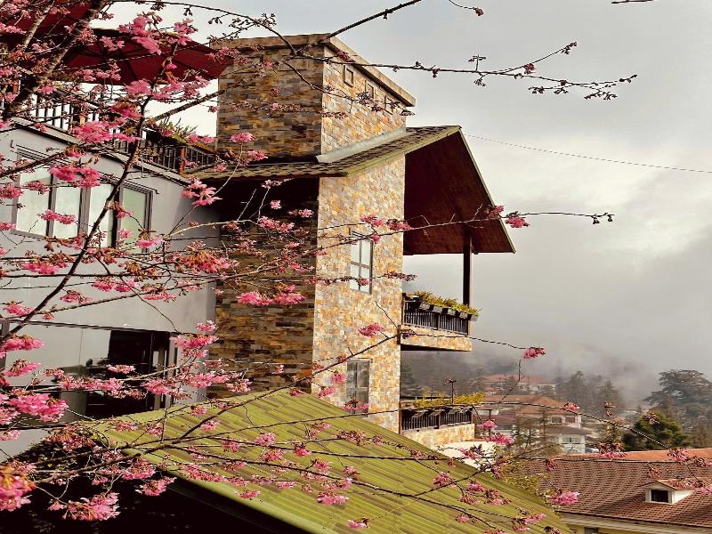 Sapa Pine Hill Ecolodge