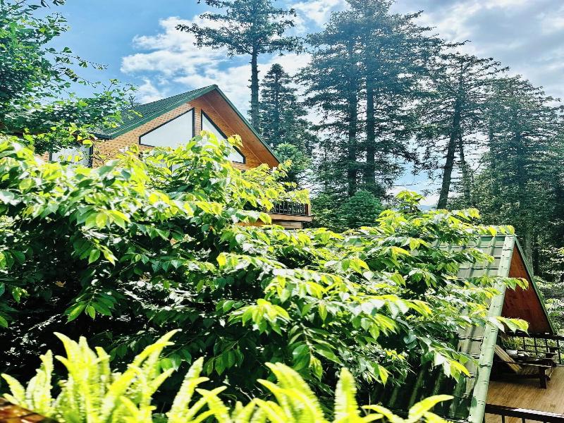 Sapa Pine Hill Ecolodge