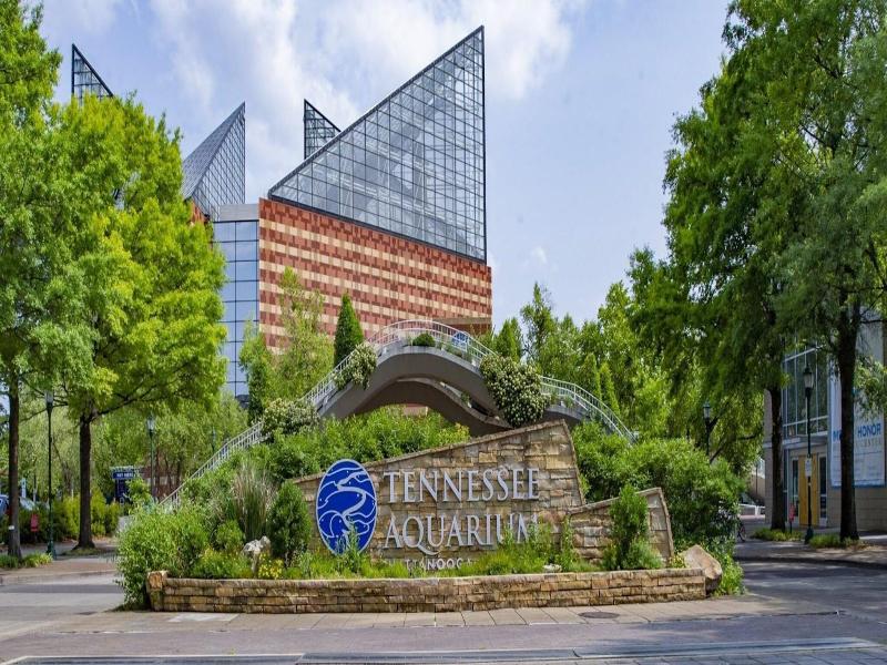Element By Marriott Chattanooga East image