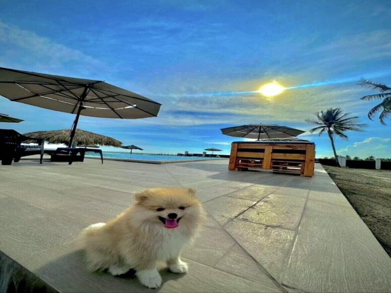 Hotel Tesoro Beach