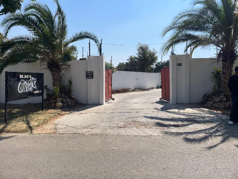 Black Olive Lodge image